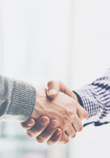 Professional Services - Expatriates