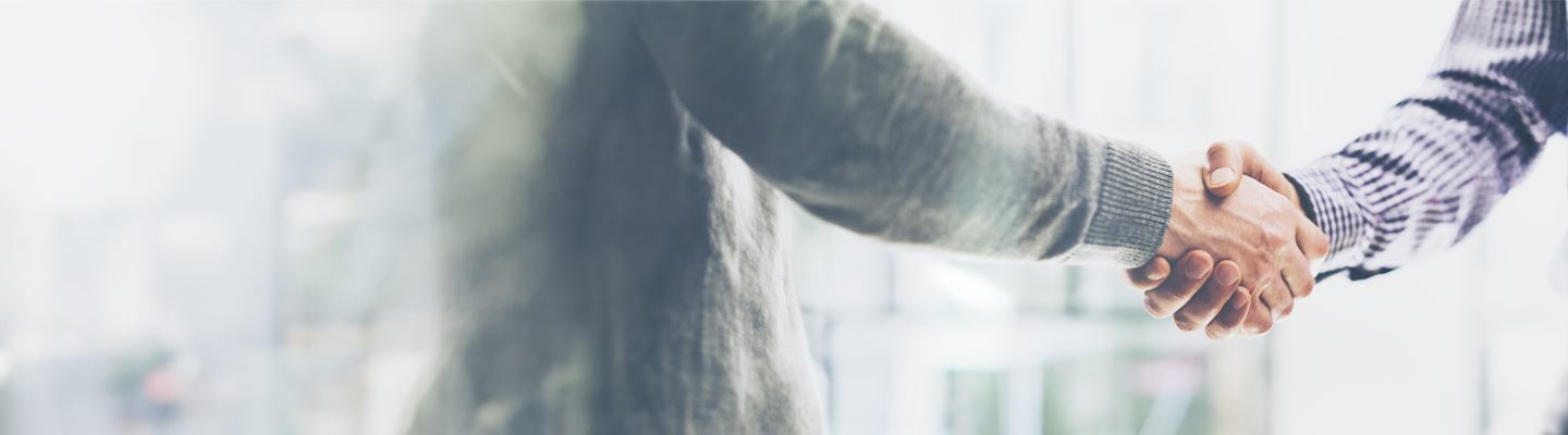 Professional Services - Expatriates